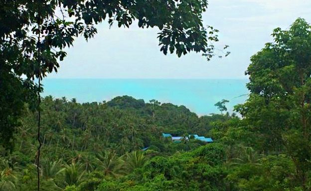 New Sea View Land for Sale in Lamai