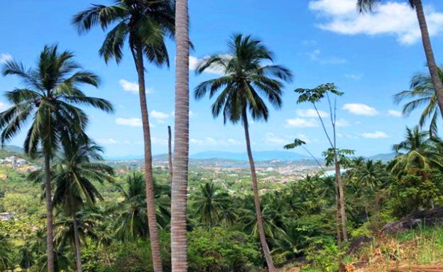 Pristine Sea view Land for Sale on Chaweng Noi Hillside