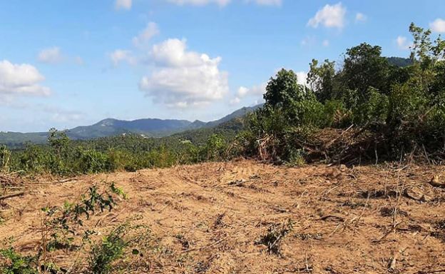 Pristine Sea view Land for Sale on Ban Tai Hillside