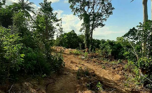 Pristine Sea view Land for Sale on Ban Tai Hillside