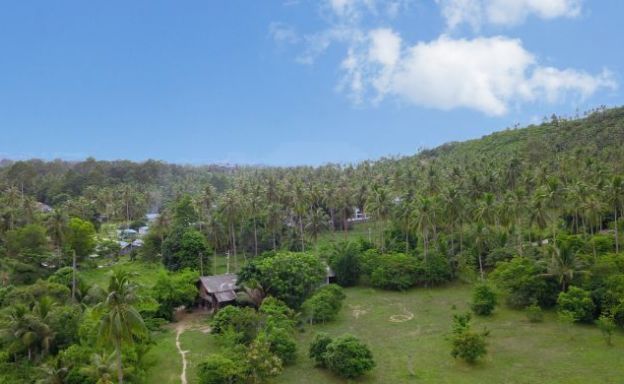 New 3 Bedroom Tropical Pool Villas in Maenam