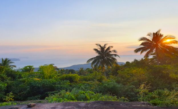 30 Rai Koh Samui Prime Land for Sale in Taling Ngam