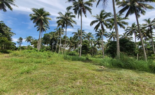 30 Rai Koh Samui Prime Land for Sale in Taling Ngam