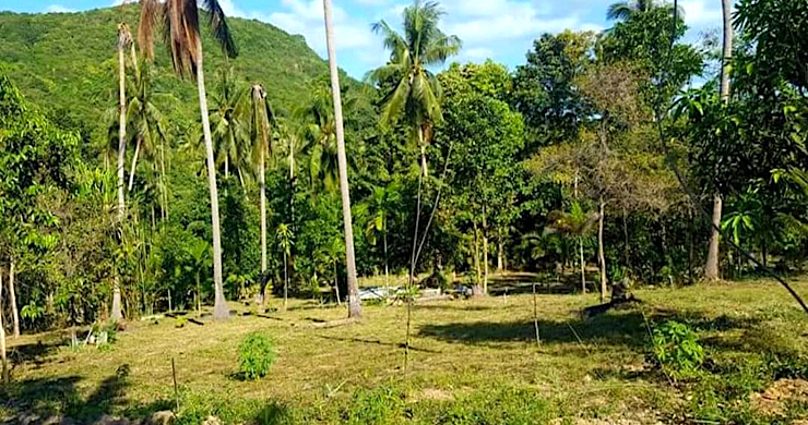 Affordable Sea-view Flat Land for Sale in Bangrak-4