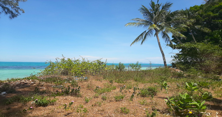 Koh Samui Beachfront Land for Sale in Lipa Noi-7