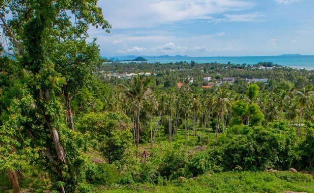 Sunset Sea-view Modern 3 Bedroom Villa in Nathon