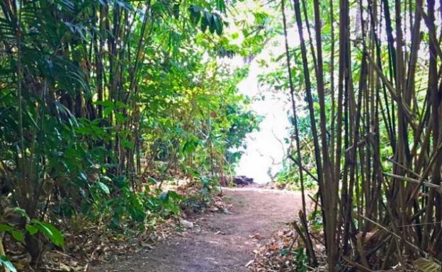 Exclusive Oceanfront Headland Plot for Sale in Phuket