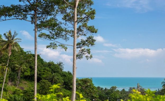 koh-samui-luxury-villa-sale-lamai