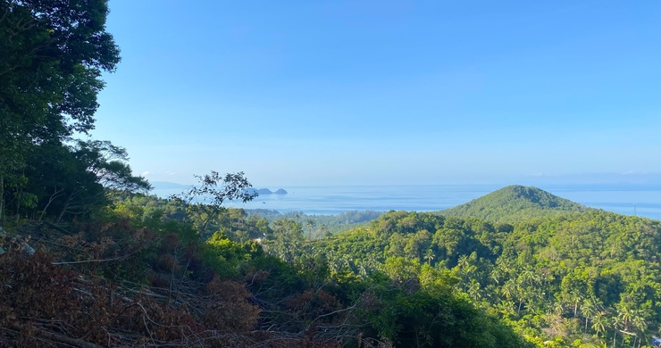 prime-sea-view-land-for-sale-koh-phangan-4