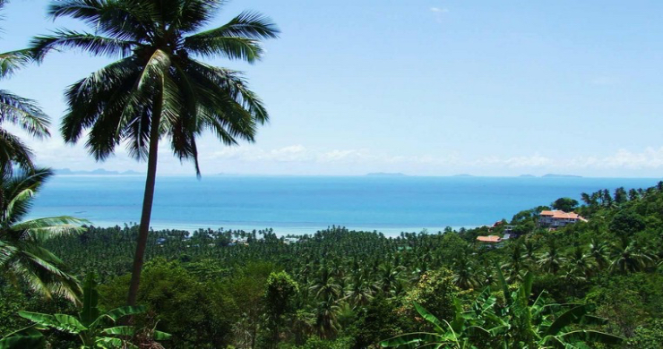 stunning-sea-view-land-plots-for-sale-in-ban-makham-3