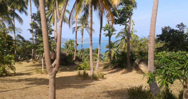 prime-sea-view-land-for-sale-in-chaweng-noi-5