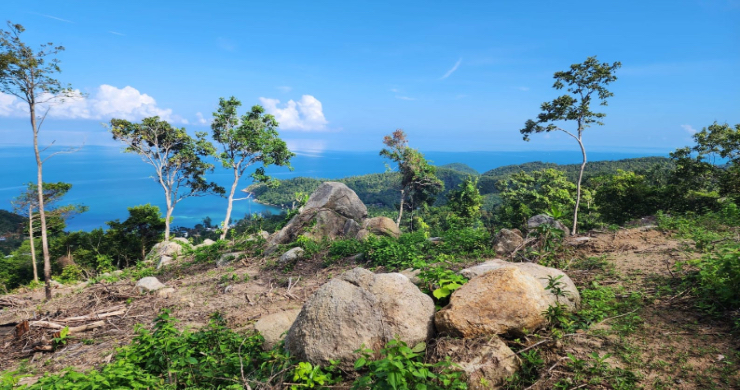 koh-phangan-sea-view-land-for-sale-haad-yao-2