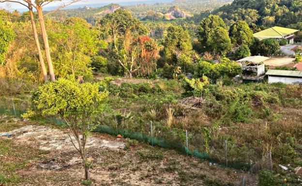 koh-samui-sea-view-land-for-sale-namuang