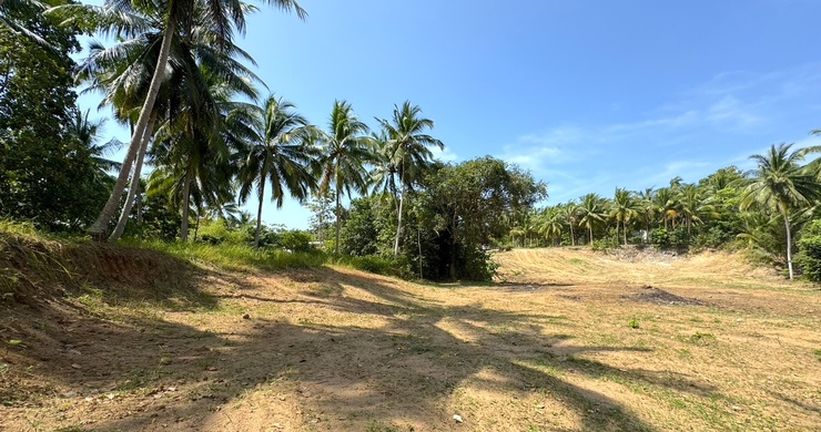 koh-phangan-sea-view-land-for-sale-ban-tai-9