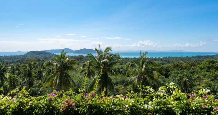 koh-samui-luxury-villa-for-sale-thong-krut-5-24