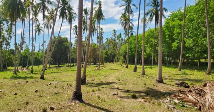 koh-samui-prime-freehold-land-ban-kao-1