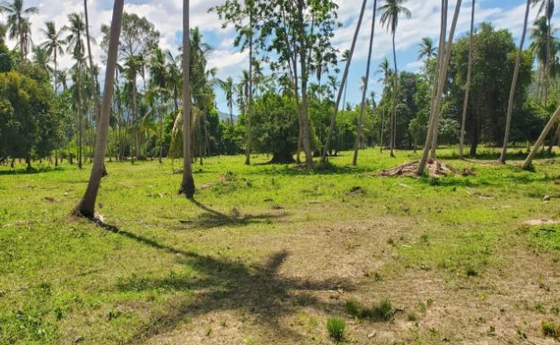 koh-samui-prime-freehold-land-ban-kao