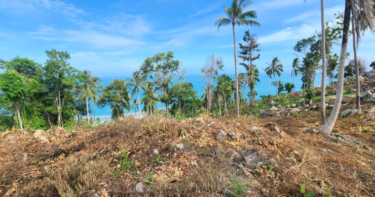 koh-phangan-sunset-sea-view-land-for-sale-1-2