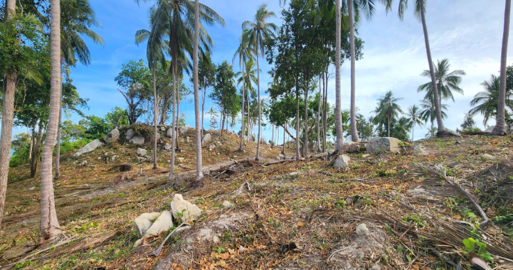 koh-phangan-sunset-sea-view-land-for-sale-1-6