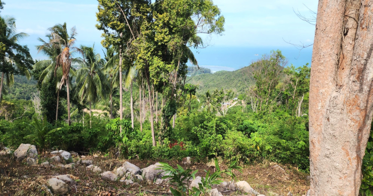 koh-phangan-sunset-sea-view-land-for-sale-1-7