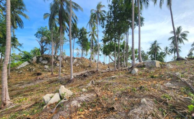 koh-phangan-sunset-sea-view-land-for-sale-1