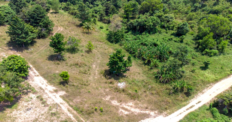 koh-samui-sea-view-land-for-sale-in-plai-laem-5-4