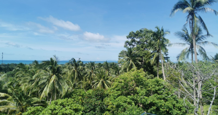 koh-phangan-villas-for-sale-ban-tai-3-bed-3