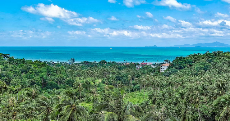 koh-samui-luxury-villas-for-sale-bangpor-3-10