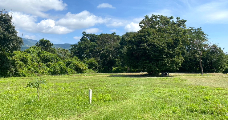 land-for-sale-taling-ngam-koh-samui-2