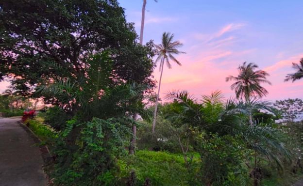 koh-samui-sea-view-land-for-sale-chaweng-noi