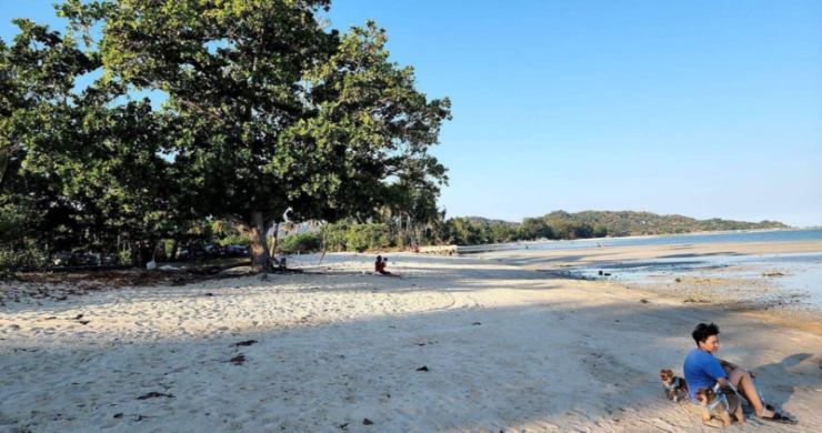 koh-samui-beachfront-land-for-sale-laem-sor-3