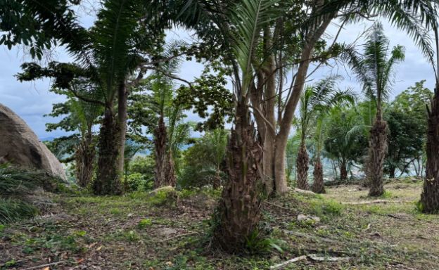 prime-sea-view-land-for-lease-in-plai-laem