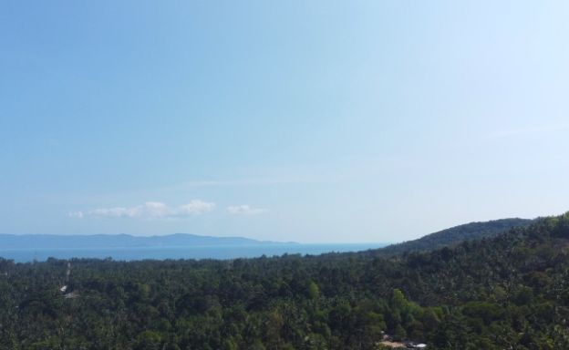 sea-view-land-plots-for-sale-in-koh-phangan