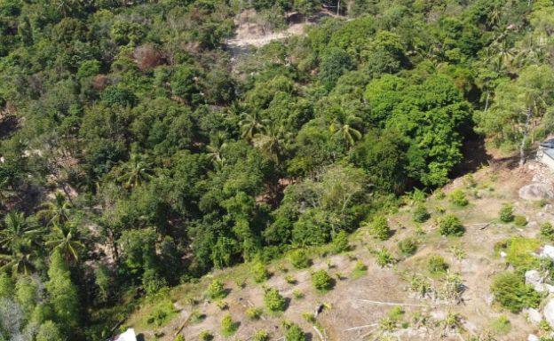 sea-view-land-plots-for-sale-in-koh-phangan