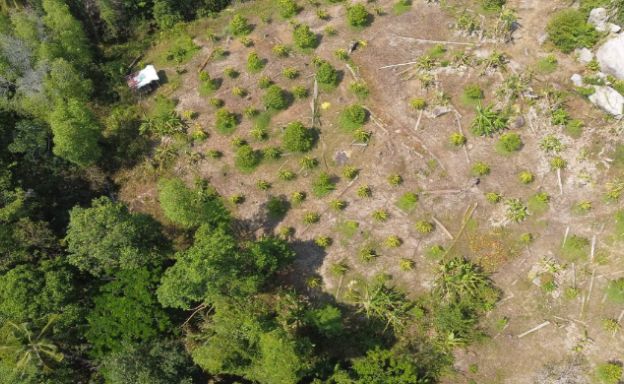 sea-view-land-plots-for-sale-in-koh-phangan