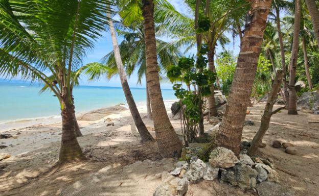 ban-tai-beachfront-land-for-sale-koh-phangan