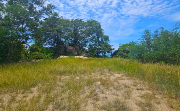 ban-tai-beachfront-land-for-sale-koh-phangan