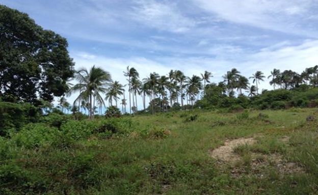Peaceful Plot of Freehold Land by Samui Golf Course