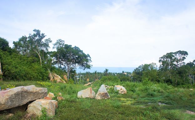 Premium Sea-view Land Plots For Sale in Chaweng Noi