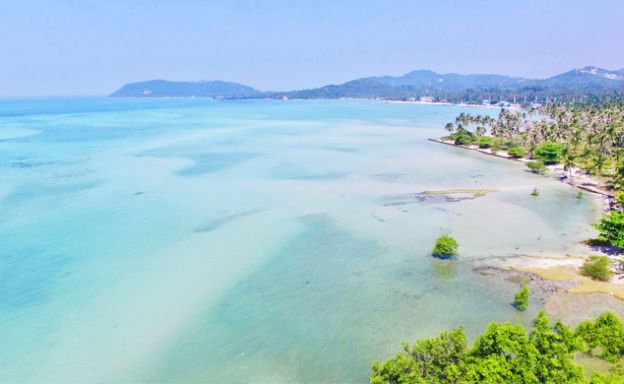 Unique Beachfront Land for Sale in Thong Krut