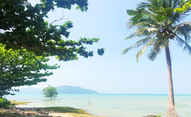 Unique Beachfront Land for Sale in Thong Krut